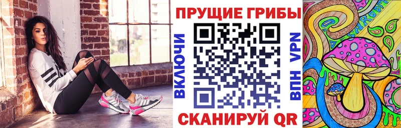 купить  сайты  Кириллов  Псилоцибиновые грибы мухоморы 
